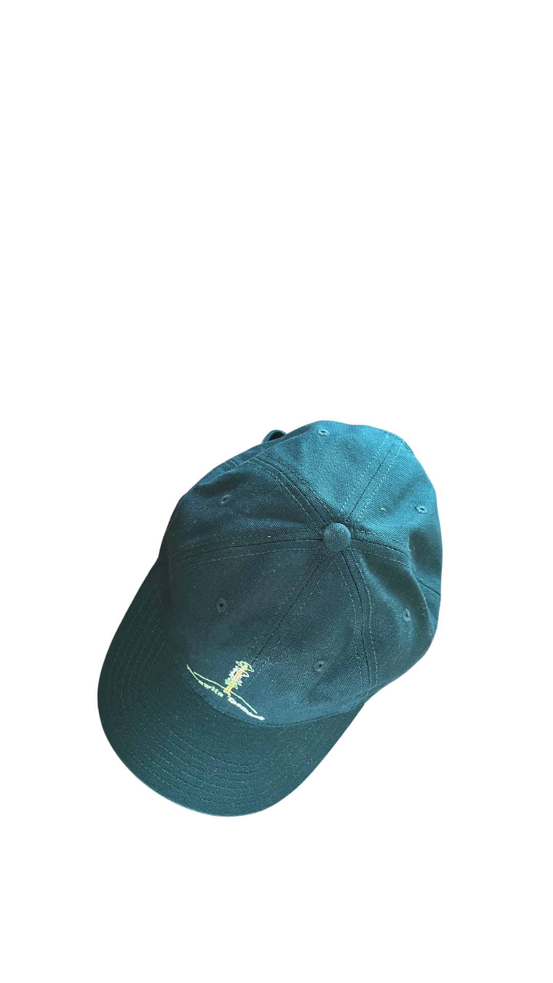 Tall Trees - cap