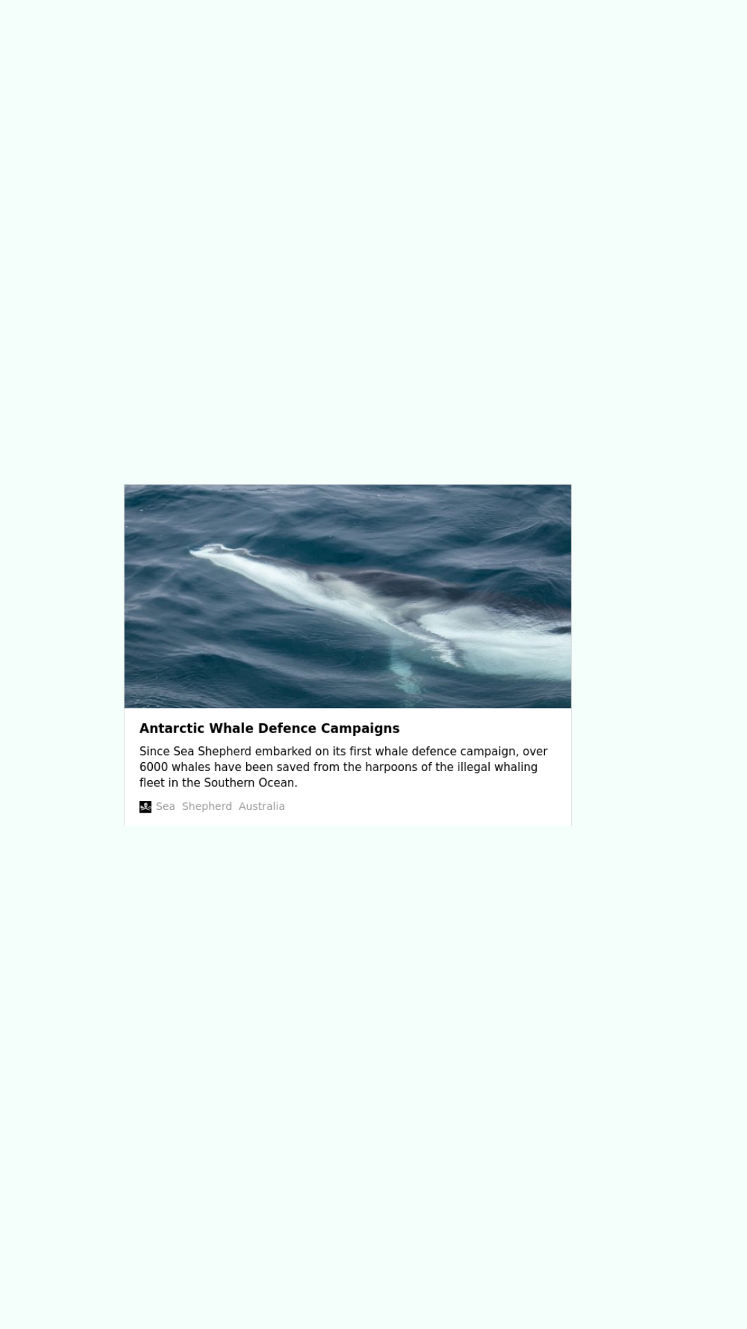 Whale of a Time - cap